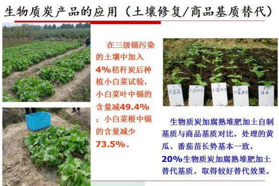 仟億達生物質(zhì)氣化發(fā)電帶來的社會效益